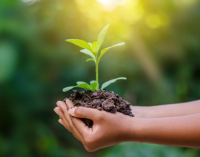 Why Protecting Nature Protects Ourselves
